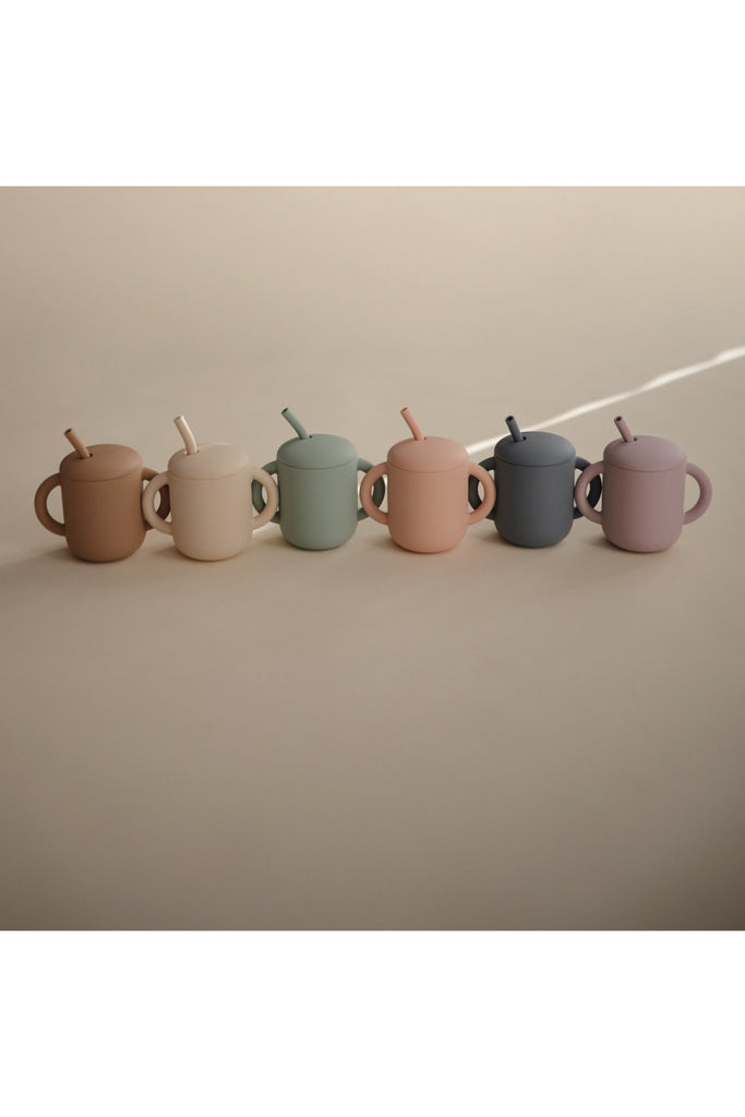 Silicone Training Cup + Straw - Blickenstaffs Toy Store