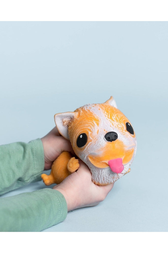 Squishy Dogs - Blickenstaffs Toy Store