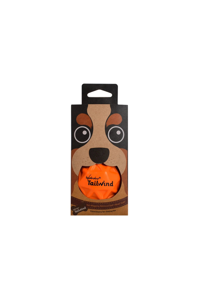 Tailwind Retrieval Dog Ball - Blickenstaffs Toy Store