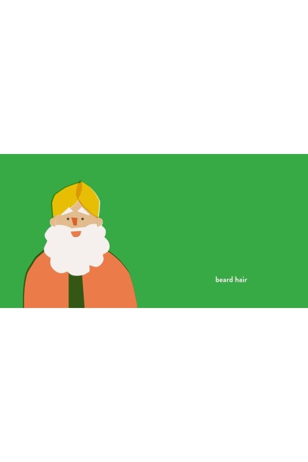 The Hair Book - Blickenstaffs Toy Store